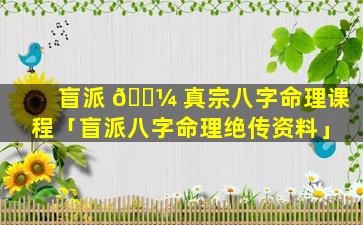 盲派 🐼 真宗八字命理课程「盲派八字命理绝传资料」